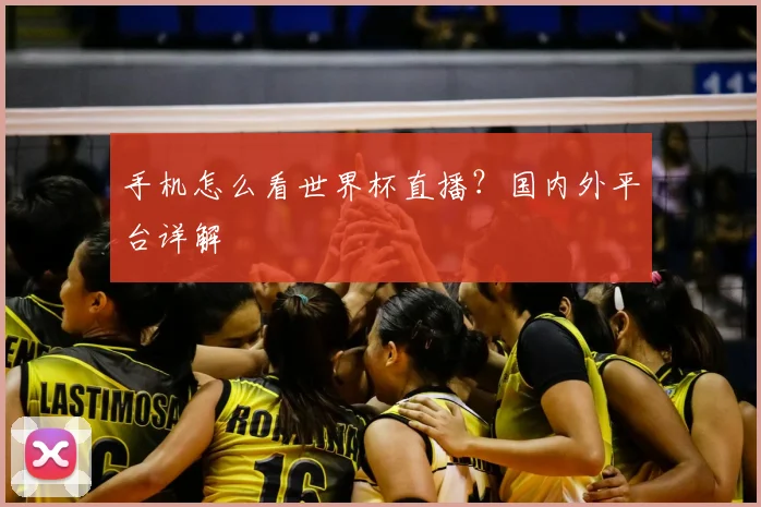 手机怎么看世界杯直播？国内外平台详解
