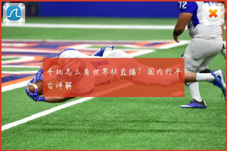 手机怎么看世界杯直播?国内外平台详解