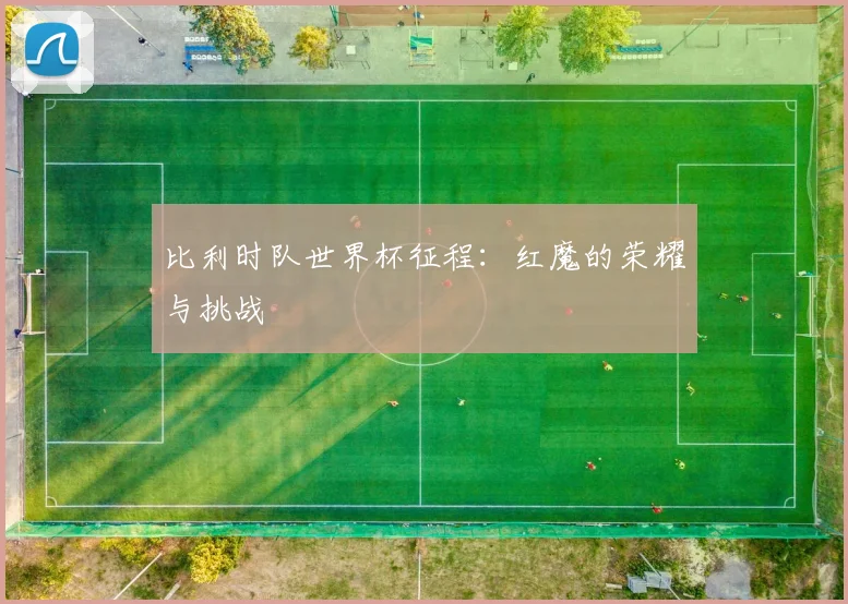 比利时队世界杯征程：红魔的荣耀与挑战