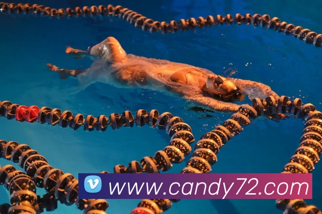 开云账号中心登录入口APP 体育赛事宣传图